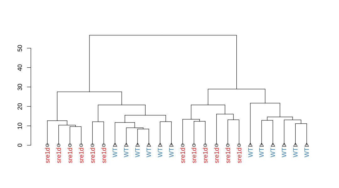 ../_images/DESeq2_04-deseq2-plots_28_0.png